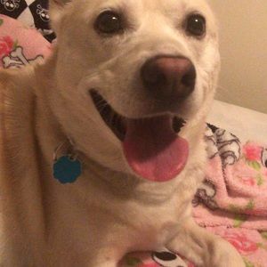 Meet your Posher, Ashlynn